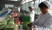 张家口去年供京津蔬菜270万吨