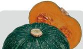 美栗南瓜：抗病性极强产量高消费者欢迎的南瓜种子