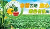 汕头蔬菜食材配送公司-汕头生鲜蔬菜配送方案